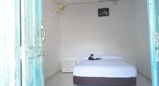 Mango Tree Hostel 4 20, Rezervovat Hostel Hostely v Cartagena, Hostel