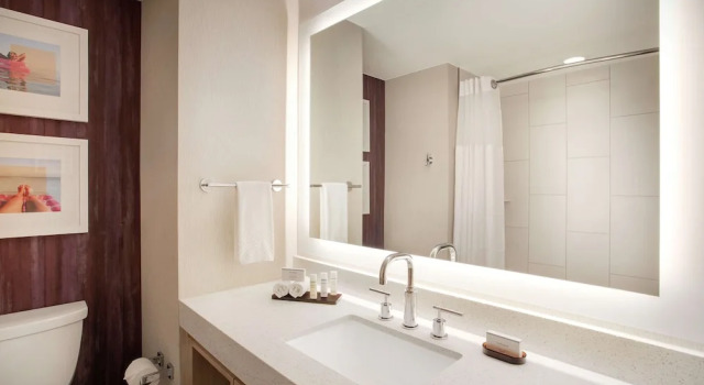 Четырёхместный люкс с видом на залив Embassy Suites by Hilton Tampa Downtown Convention Center