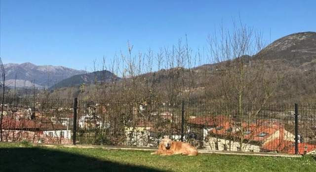 Апартаменты с видом на горы Apartamento Cangas Relax