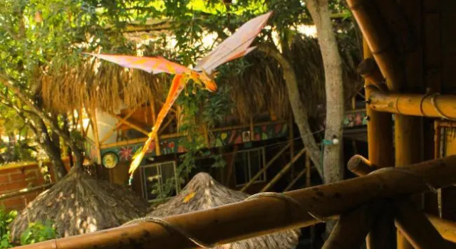 La Natura Hostel & Pool, Reservar Albergue Albergues em Guajira, Albergue