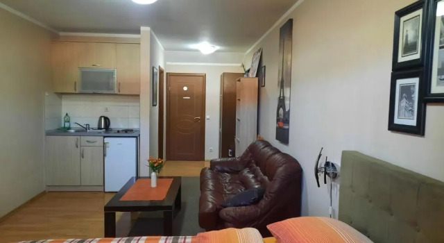 Студия с балконом и с красивым видом из окна Apartments Aleksandra Cetinje