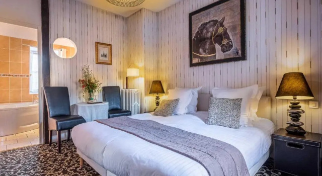 Номер Standard Hôtel Le Pavillon des Lys - Amboise Centre
