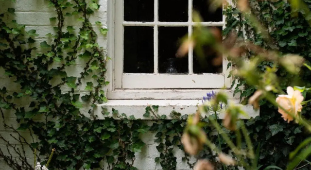 Standard Doppel Zimmer mit Gartenblick Fitzpatricks Inn