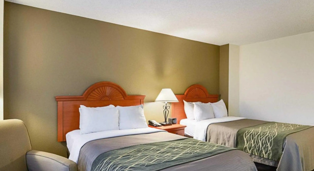 Четырёхместный номер Standard Fairfield Inn & Suites by Marriott Alexandria West/Mark Center