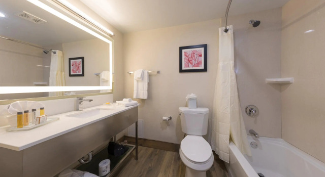 Двухместный люкс c 1 комнатой Holiday Inn Brookfield - Milwaukee by IHG