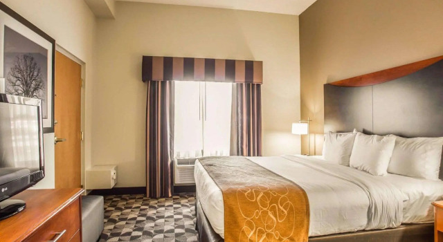 Люкс Comfort Suites Columbia at Harbison