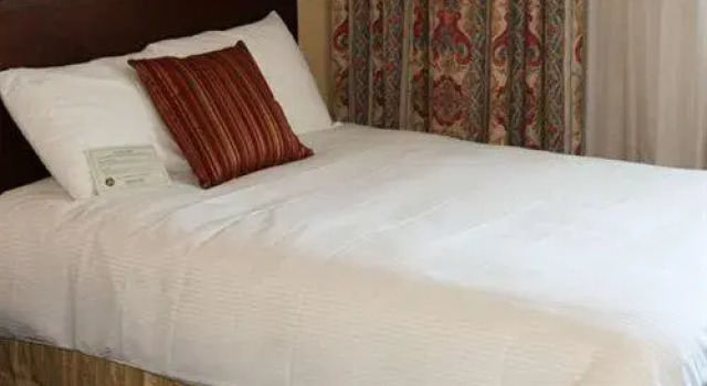Четырёхместный номер Standard Maron Hotel & Suites