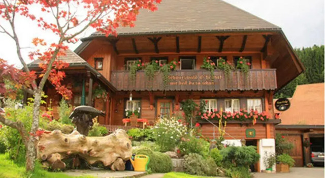 Номер Comfort Haus Erika