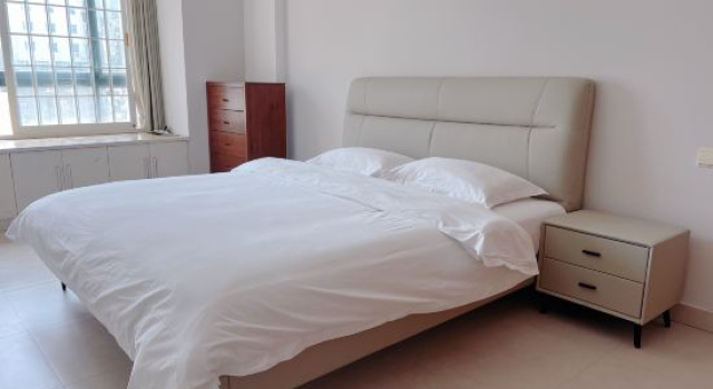 Люкс Luxury Xuzhou Big Cat Homestay (Suning Plaza Xuzhou Medical Affiliated Hospital Subway Station Branch)