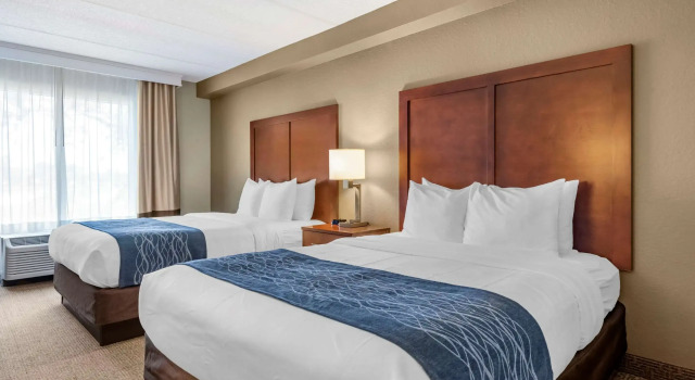 Четырёхместный номер Standard Comfort Inn & Suites Orlando North