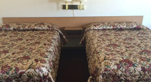 Четырёхместный номер Standard Greenway Motel