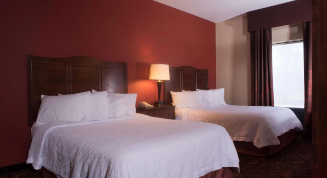 Четырёхместная студия Hampton Inn and Suites Woodstock, Virginia