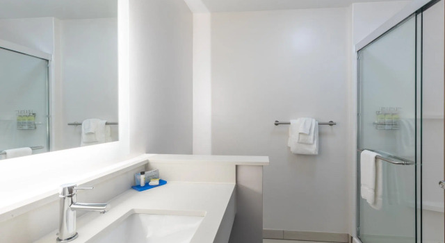 Номер Standard Holiday Inn Express & Suites Columbia Downtown The Vista by IHG