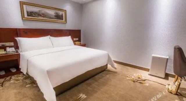 Люкс Business Vienna Hotel (Zhongshan Sanjiao)