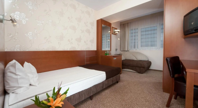 Одноместный номер Standard Hotel Vivaldi