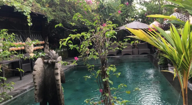 Двухместный номер Deluxe с балконом и с красивым видом из окна Villa Cilinaya Ubud