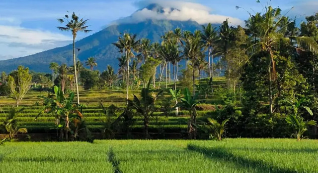 RUMAH @ Sawah Ijen
