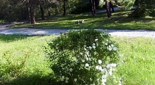 Domaine de Lara, Buchen Sie Hotel Saint-Paul-sur-Ubaye Ubaye-Tal