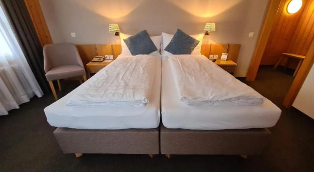 Двухместный номер Economy Hotel Friedheim Weggis