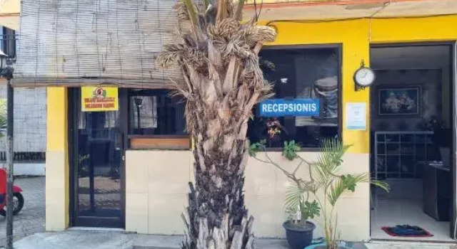 Hotel O New Asembagus 2