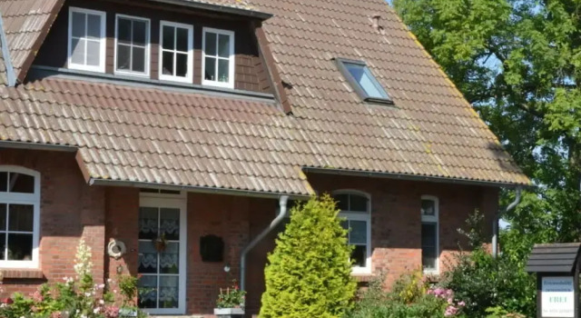 Apartment in Feldberger Seenlandschaft