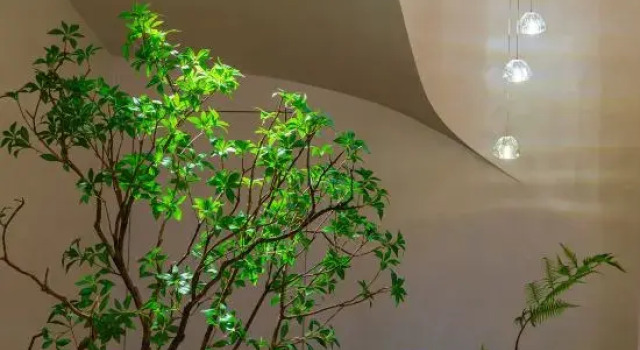 Tonglu Yaoyue Lanshe Homestay (OMG Heartbeat Paradise), Rezerwuj Hotel Hangzhou Zhejiang