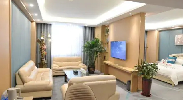 Люкс Nanyang Wangfu Hotel
