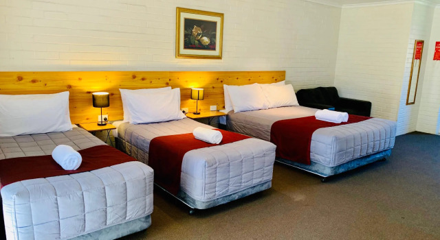 Номер Deluxe Burringa Garden Motel