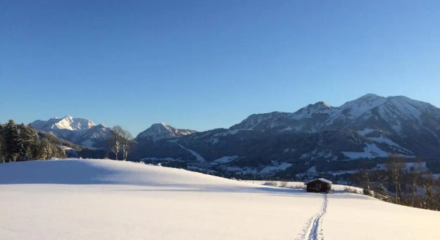 Апартаменты Ferienwohnung Alpenglück