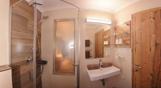 Двухместный номер Standard с балконом Hotel Birkenhof