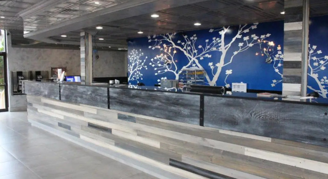 Celebration Suites
