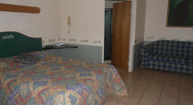 Двухместный номер Standard Curtain Fig Motel
