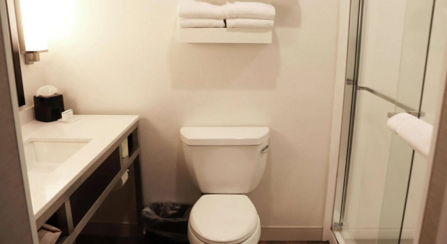 Двухместный номер с диваном-кроватью Deluxe Hilton Garden Inn Austin Airport