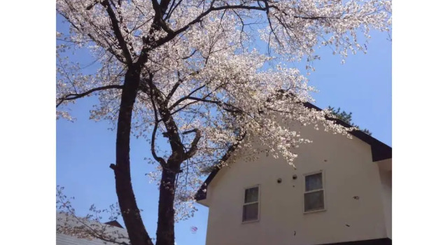 Sumi Villa Hakuba