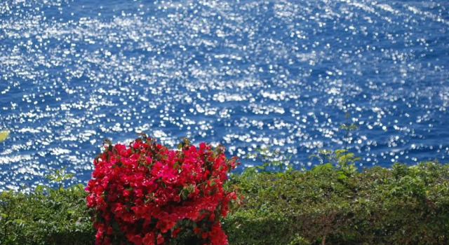Номер Deluxe Casa Orrico - Blue Grotto