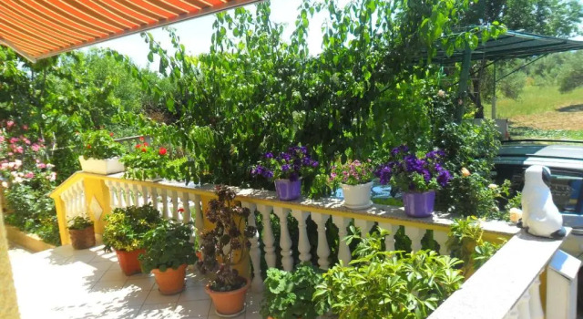 Студия Apartments Marina
