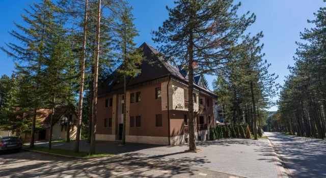 Апартаменты с видом на горы Lovac apartmani