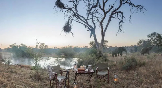 Двухместный люкс Kings Camp Private Game Reserve