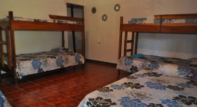Bungalov Finca don Litos