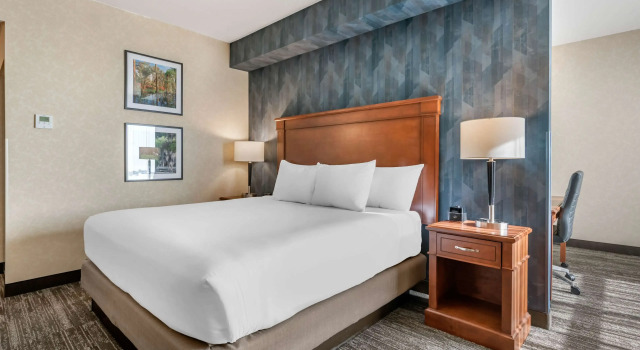 Номер Deluxe Drury Plaza Hotel Valdosta