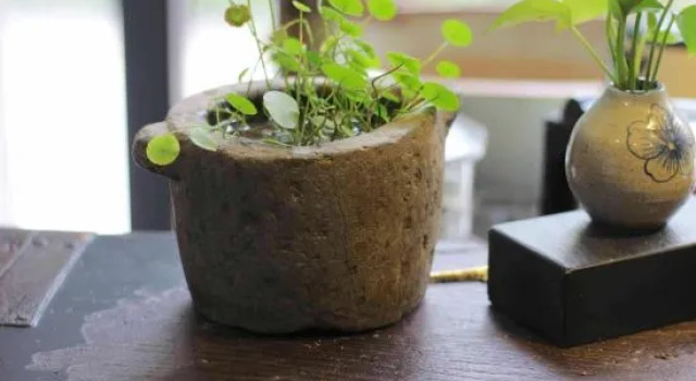 wuyaun laojie house, Rezerwuj Hotel Wuyuan Jiangxi