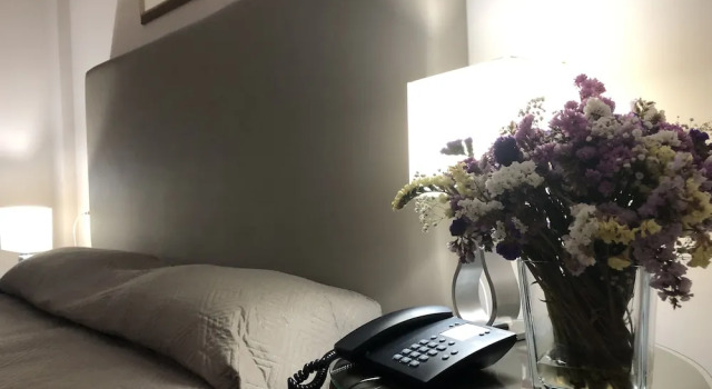 Одноместный номер Standard с балконом Domizia Palace Hotel