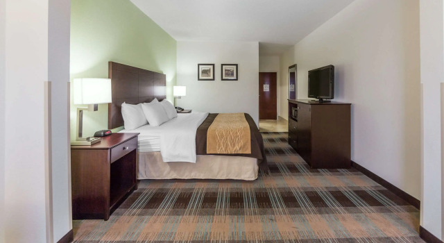 Двухместный номер Standard Comfort Inn Lexington South
