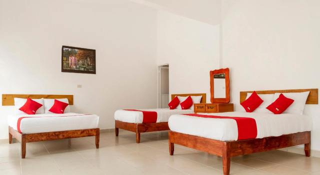 Camera Standard Hotel Magnolia