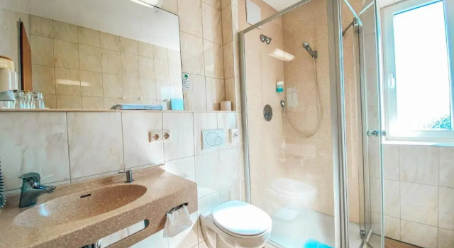 Двухместный номер Comfort Hotel Schwertfirm