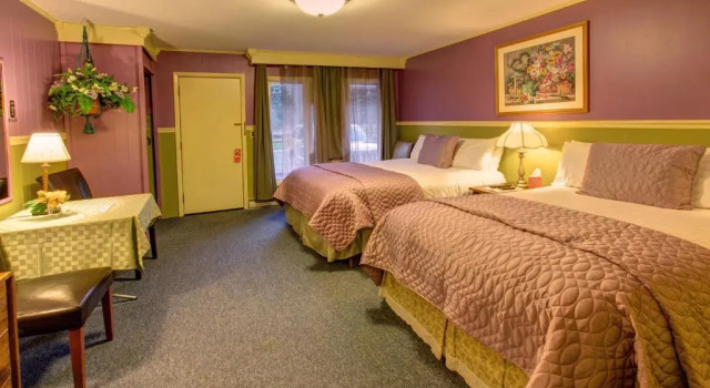 Студия Deluxe Starlite Motel & Suites