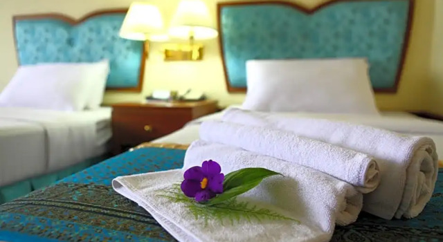 Двухместный номер Deluxe Wattana Park Hotel