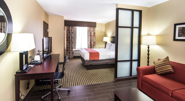 Двухместный номер Standard Holiday Inn Express & Suites Elkton - University Area by IHG