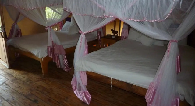 Roika Tarangire Tented Lodge, Réserver Maison de vacances Kwa Kuchinia Babati