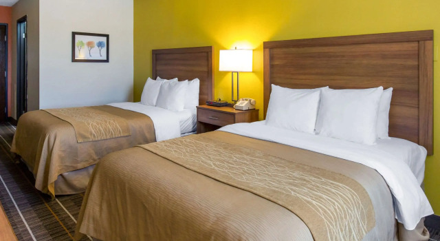 Четырёхместный номер Standard Quality Inn Stephens City-Winchester South